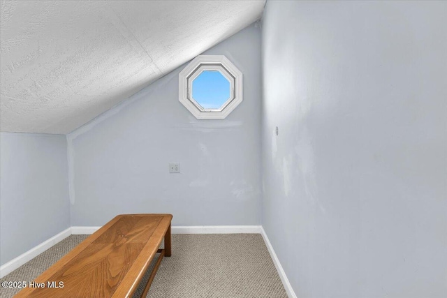 939 Ocean Blvd W, Holden Beach, NC 28462 - additional living space featuring baseboards, vaulted ceiling, carpet flooring, and a textured ceiling