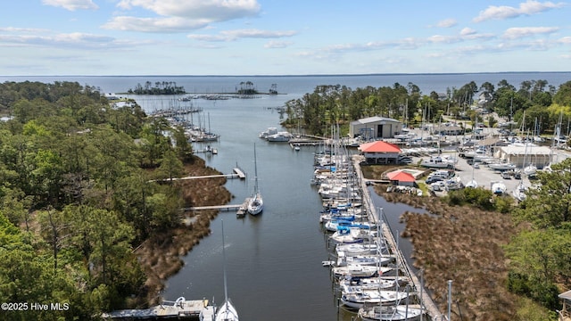 1404 Tosto Cir Apt 5, Oriental, NC 28571 - aerial view of a nearby body of water, numerous boat docks, and a tree filled landscape