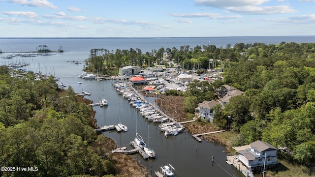 1404 Tosto Cir Apt 5, Oriental, NC 28571 - aerial view of a nearby body of water and numerous boat docks