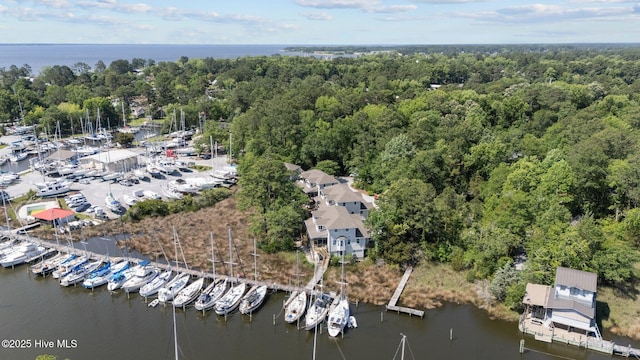1404 Tosto Cir Apt 5, Oriental, NC 28571 - bird's eye view of a large body of water, a marina, and a heavily wooded area