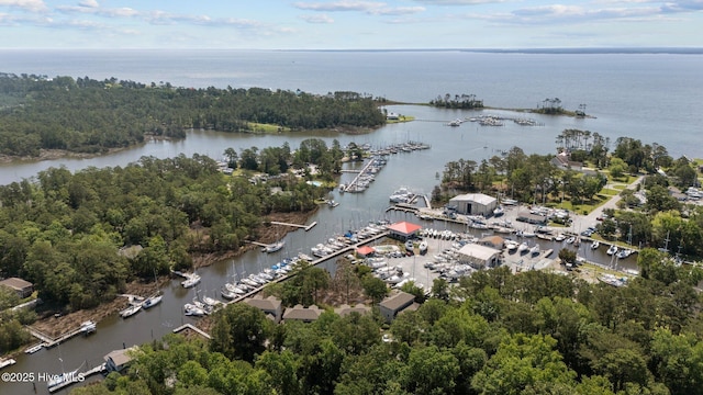 1404 Tosto Cir Apt 5, Oriental, NC 28571 - aerial overview of property's location featuring a large body of water and a marina
