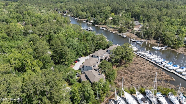 1404 Tosto Cir Apt 5, Oriental, NC 28571 - bird's eye view of a forest, a nearby body of water, and a marina