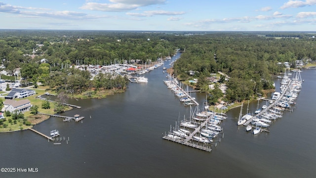 1404 Tosto Cir Apt 5, Oriental, NC 28571 - bird's eye view of a marina, a nearby body of water, and a forest