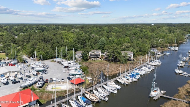 1404 Tosto Cir Apt 5, Oriental, NC 28571 - bird's eye view of a forest, numerous boat docks, and a nearby body of water
