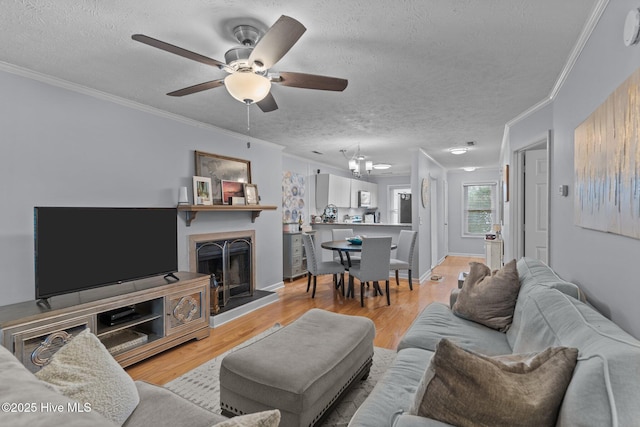 1825 Savannah Ct Unit D3, Wilmington, NC 28403 - living area with ornamental molding, a ceiling fan, a textured ceiling, wood finished floors, and a fireplace with raised hearth