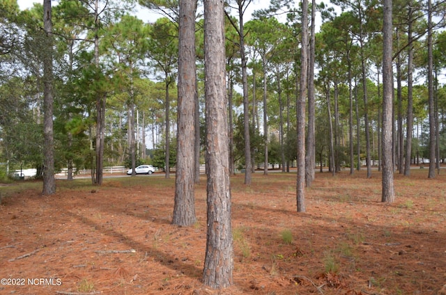 305 Planters Ridge Dr SW Unit 54, Sunset Beach, NC 28468
