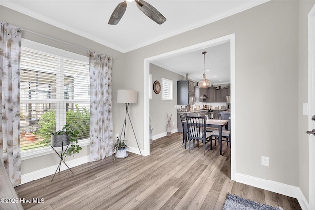 3213 Laughing Gull Ter, Wilmington, NC 28412 - dining space with light wood-style flooring, healthy amount of natural light, baseboards, and ornamental molding