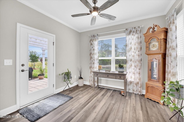 3213 Laughing Gull Ter, Wilmington, NC 28412 - foyer entrance with wood finished floors, healthy amount of natural light, a ceiling fan, ornamental molding, and baseboards