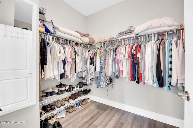 3213 Laughing Gull Ter, Wilmington, NC 28412 - spacious closet with wood finished floors
