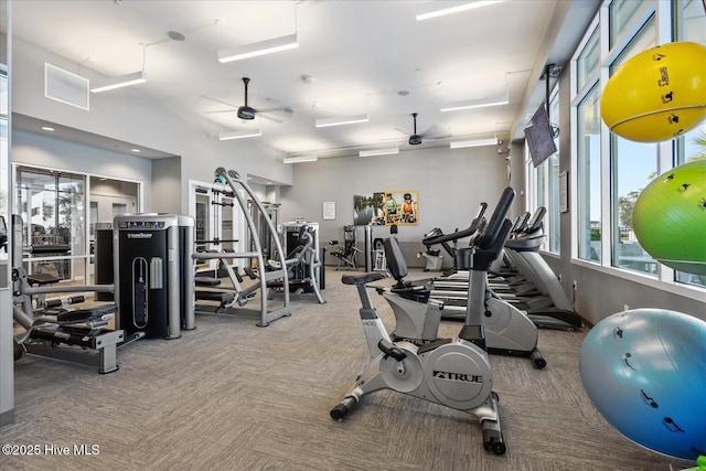 3213 Laughing Gull Ter, Wilmington, NC 28412 - workout area with a ceiling fan and carpet floors