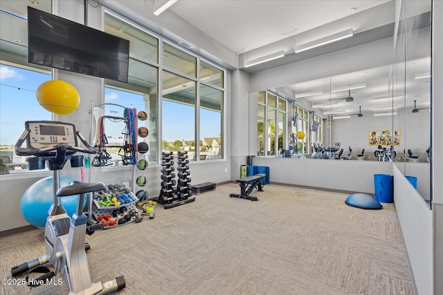3213 Laughing Gull Ter, Wilmington, NC 28412 - exercise room with carpet