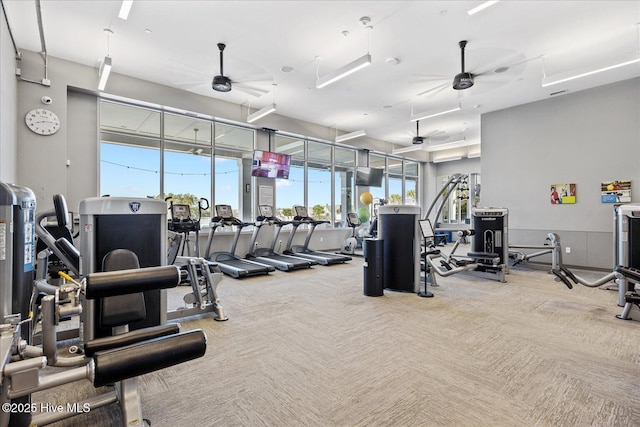 3213 Laughing Gull Ter, Wilmington, NC 28412 - gym featuring a ceiling fan and carpet