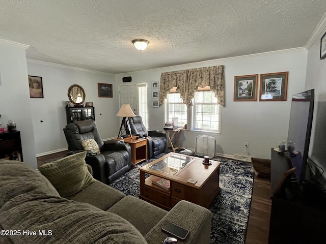 22541 Henry St, Laurel Hill, NC 28351 - living area with ornamental molding, a textured ceiling, wood finished floors, and baseboards