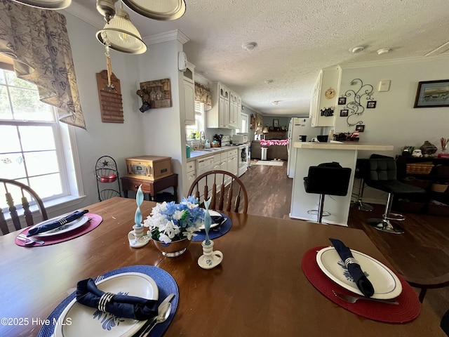 22541 Henry St, Laurel Hill, NC 28351 - dining room with crown molding, dark wood-type flooring, and a textured ceiling