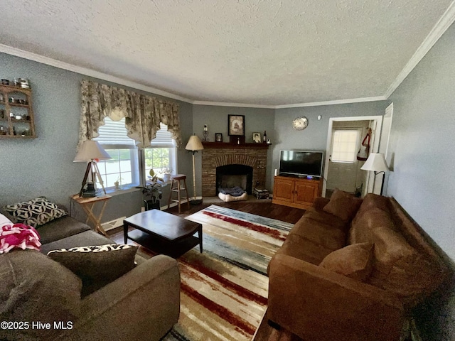 22541 Henry St, Laurel Hill, NC 28351 - living area with a textured ceiling, a fireplace, crown molding, and healthy amount of natural light