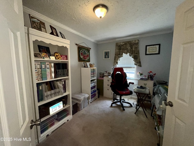 22541 Henry St, Laurel Hill, NC 28351 - carpeted office space featuring crown molding and a textured ceiling
