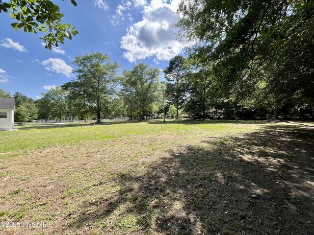 22541 Henry St, Laurel Hill, NC 28351 - view of yard featuring view of scattered trees