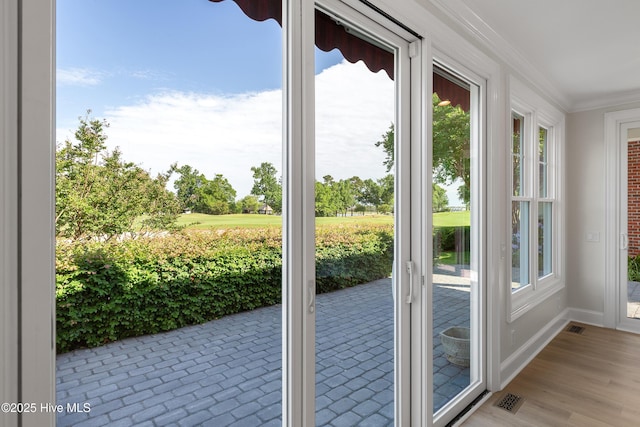 1401 Regatta Dr, Wilmington, NC 28405 - doorway featuring healthy amount of natural light, crown molding, baseboards, and wood finished floors