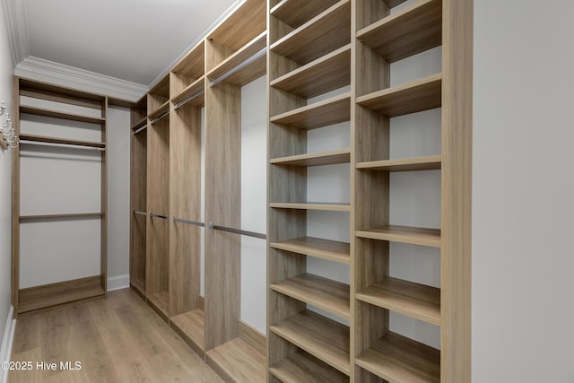 1401 Regatta Dr, Wilmington, NC 28405 - spacious closet with light wood finished floors