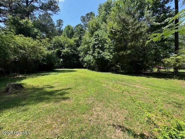 3321 US-13 N, Ahoskie, NC 27910 - view of green lawn