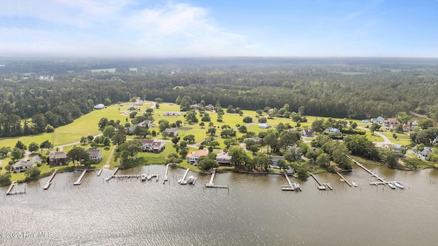1005 Pirate Cove Cir, Oriental, NC 28571 - bird's eye view of a forest and a large body of water