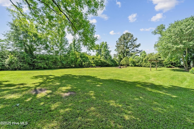 460 S NC-111 Hwy, Chinquapin, NC 28521 - view of grassy yard