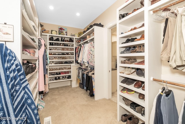 291 Live Oak Rd, Newport, NC 28570 - spacious closet featuring light carpet