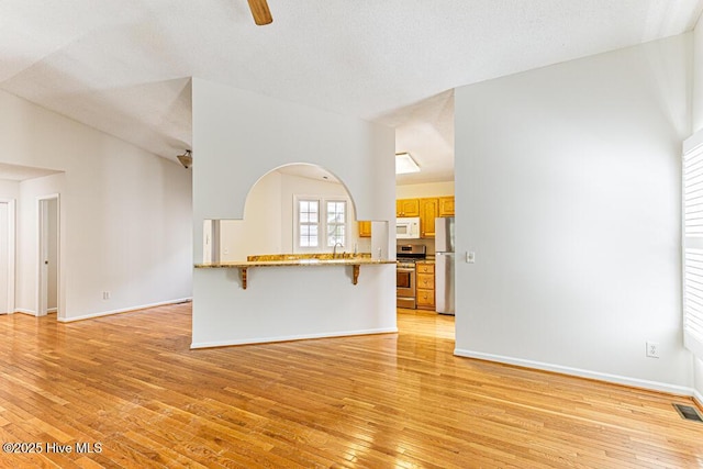 129 Shagbark Ct, West End, NC 27376 - unfurnished living room with light wood-type flooring, a sink, baseboards, and arched walkways