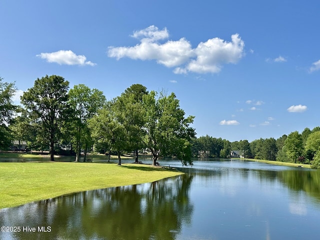 129 Shagbark Ct, Seven Lakes, NC 27376 - water view