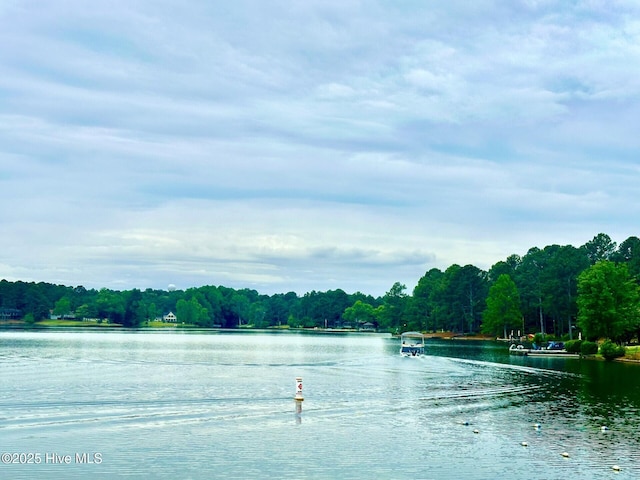 129 Shagbark Ct, Seven Lakes, NC 27376 - water view with a forest