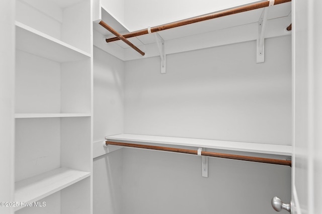 3068 Joe Stocks Rd, Greenville, NC 27858 - view of spacious closet