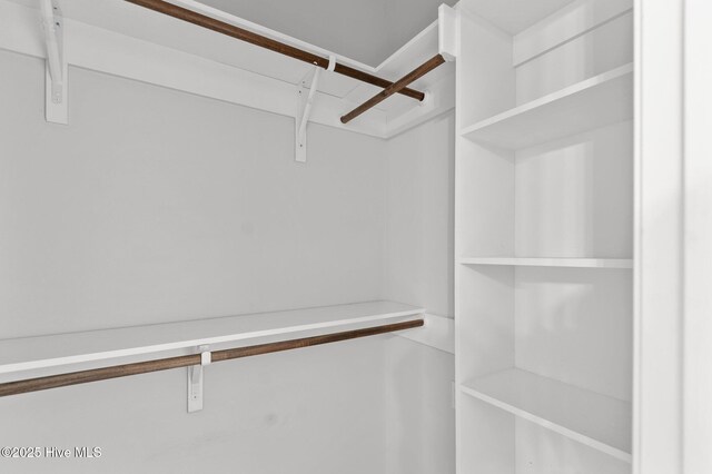 3068 Joe Stocks Rd, Greenville, NC 27858 - view of spacious closet