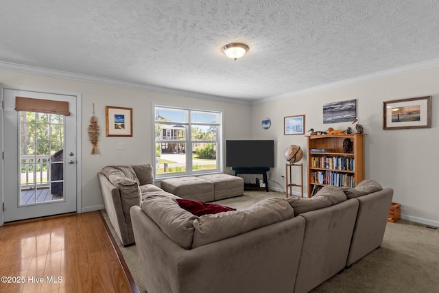 233 NE 70th St, Oak Island, NC 28465 - living room featuring plenty of natural light, ornamental molding, baseboards, a textured ceiling, and light wood-style flooring