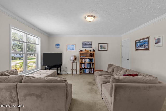 233 NE 70th St, Oak Island, NC 28465 - living area with light colored carpet, ornamental molding, baseboards, and a textured ceiling