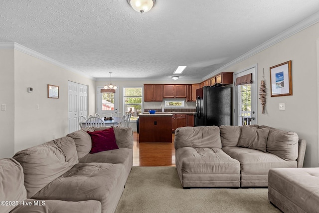 233 NE 70th St, Oak Island, NC 28465 - living room with ornamental molding, a chandelier, a textured ceiling, and carpet floors