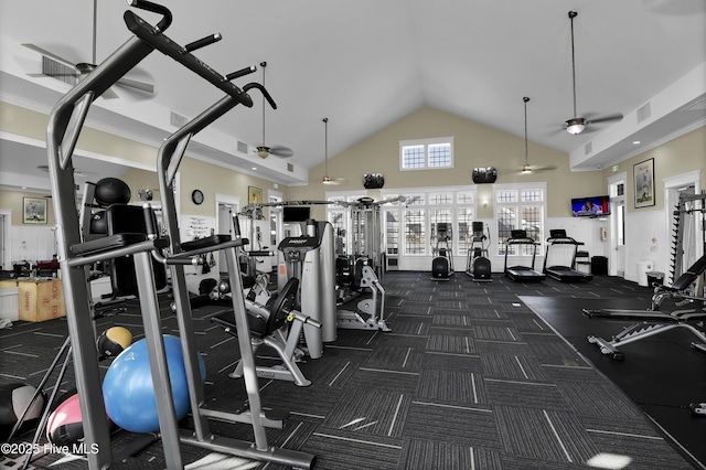 557 Moss Lake Ln, Holly Ridge, NC 28445 - workout area featuring ceiling fan and high vaulted ceiling