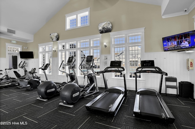 557 Moss Lake Ln, Holly Ridge, NC 28445 - workout area with wainscoting, carpet floors, and high vaulted ceiling