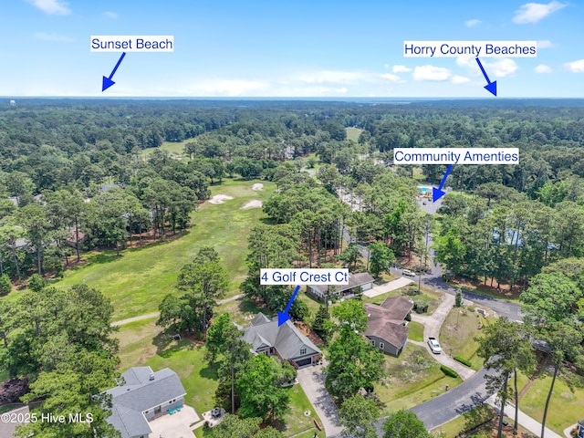4 Golf Crest Ct, Carolina Shores, NC 28467 - aerial view of property's location featuring a forest