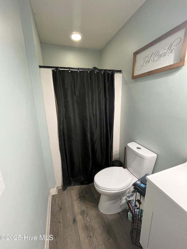 1076 Corbett Town Rd, Snow Hill, NC 28580 - bathroom with wood finished floors, vanity, toilet, and curtained shower