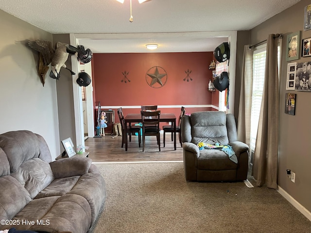 1076 Corbett Town Rd, Snow Hill, NC 28580 - living area with carpet, a textured ceiling, and baseboards
