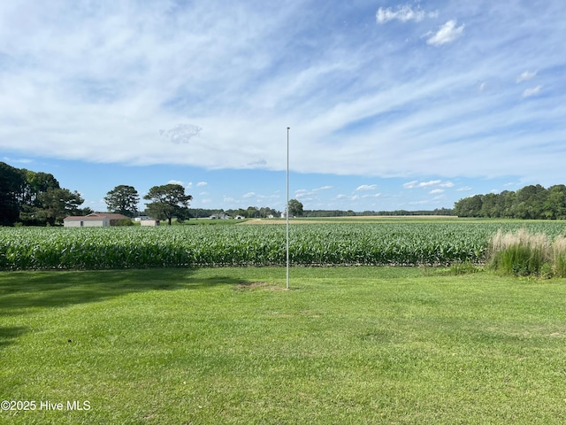 1076 Corbett Town Rd, Snow Hill, NC 28580 - view of grassy yard featuring a view of rural / pastoral area and agricultural area