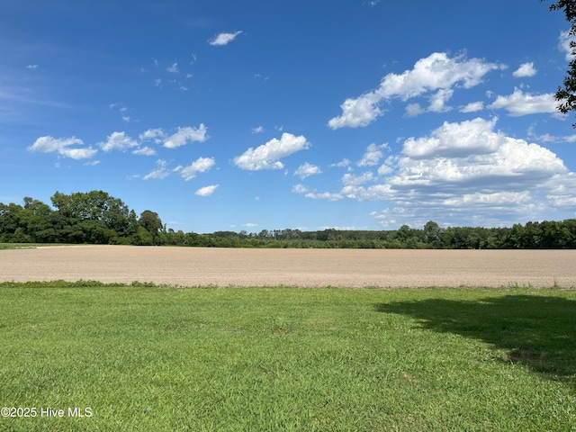 1076 Corbett Town Rd, Snow Hill, NC 28580 - view of grassy yard featuring a rural view