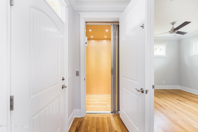 110 Dow Rd N, Carolina Beach, NC 28428 - corridor featuring ornamental molding, baseboards, and light wood-style floors