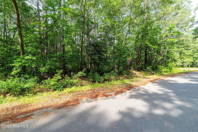 000 Farmingdale Dr, Pikeville, NC 27863