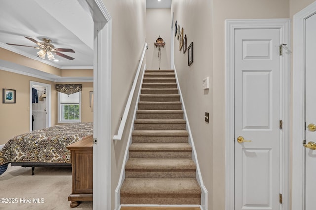 550 Sunset Lakes Blvd SW, Sunset Beach, NC 28468 - stairway featuring a ceiling fan, crown molding, baseboards, and carpet