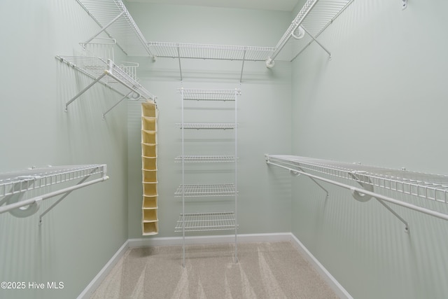 288 Atlantic Ct SW, Supply, NC 28462 - walk in closet with carpet floors