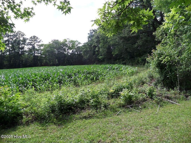 108 Swan Point Rd, Bayboro, NC 28515 - view of undeveloped land