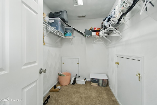 118 Stedman Ln E, Elizabeth City, NC 27909 - walk in closet with carpet