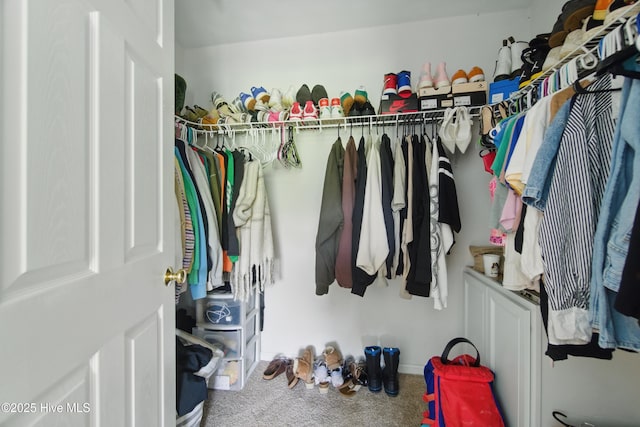 118 Stedman Ln E, Elizabeth City, NC 27909 - walk in closet with carpet