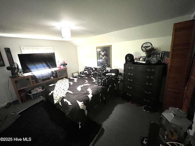 1412 Lyon Landing Rd, Elizabethtown, NC 28337 - view of carpeted bedroom